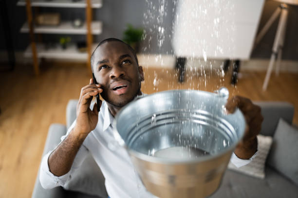 Best Flood restoration services  in Alachua, FL