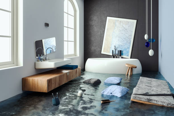 Best Water damage mitigation services  in Alachua, FL