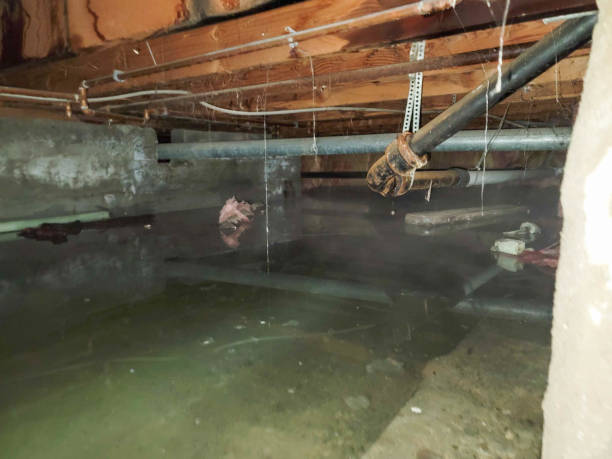 Best 24-hour water damage restoration  in Alachua, FL