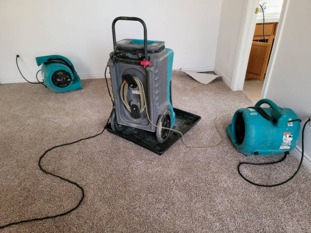 Best Flood damage cleanup  in Alachua, FL