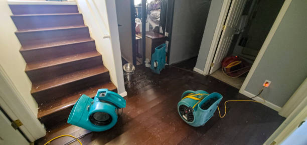 Best Mold removal after water damage  in Alachua, FL