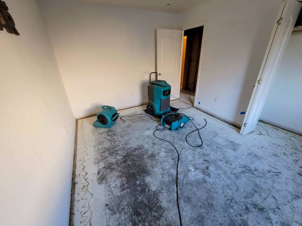 Best Ceiling water damage repair  in Alachua, FL