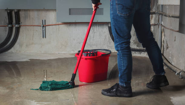 Best Water damage contractors near me  in Alachua, FL