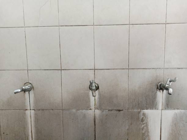 Best Basement water damage restoration  in Alachua, FL