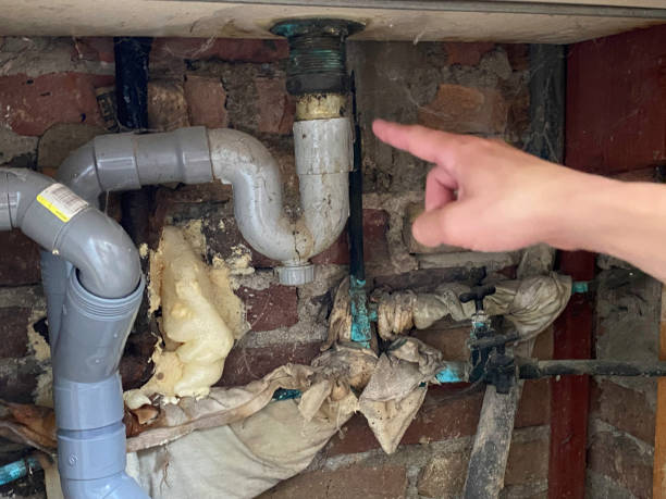 Best Residential water damage restoration  in Alachua, FL