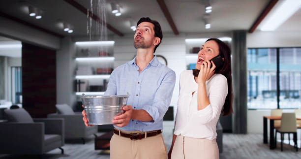 Best Professional water damage repair  in Alachua, FL